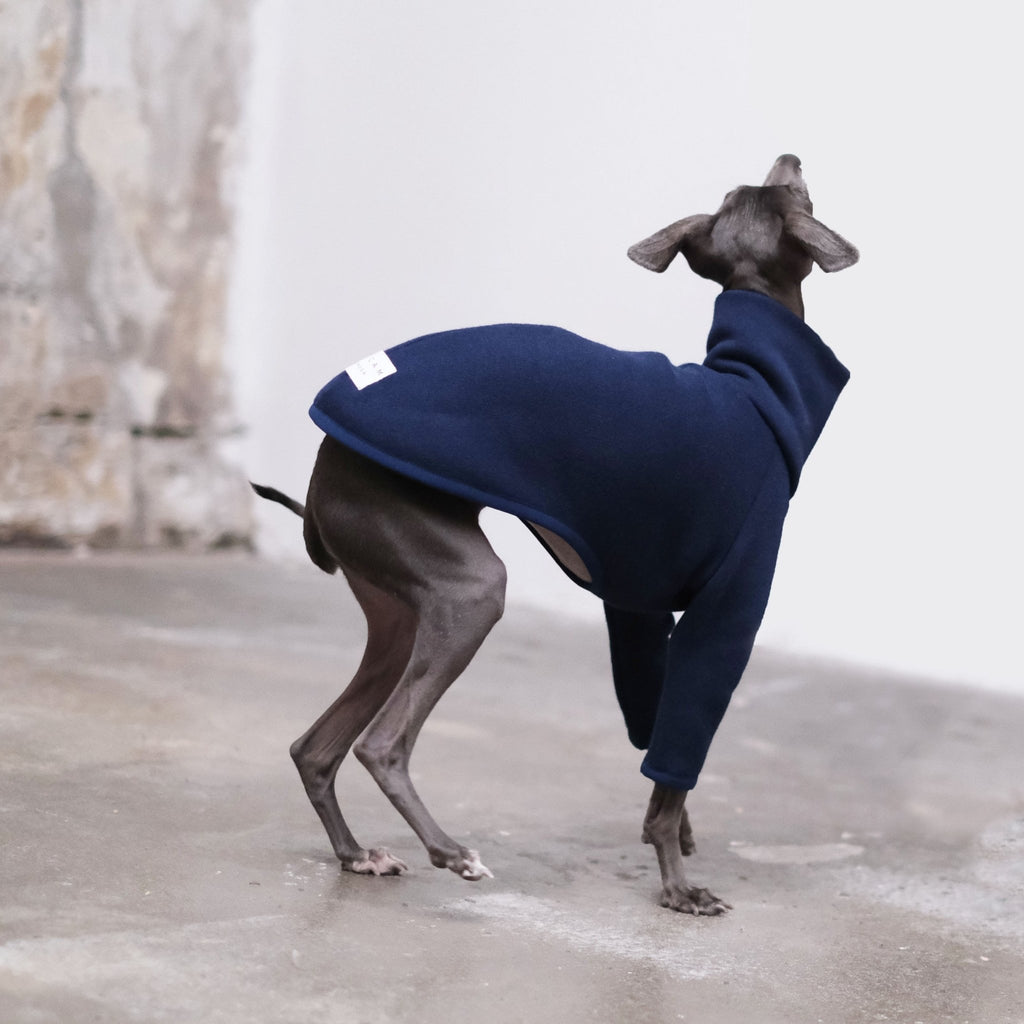 Navy Italian Greyhound Jumper - Flint - Occam