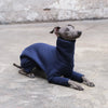 Navy Italian Greyhound Onesie - Judd - Occam