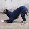 Navy Italian Greyhound Onesie - Judd - Occam