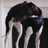 Navy Whippet Waterproof Coat - Kipper - Occam