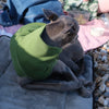 Olive Whippet Jumper - Wren - Occam