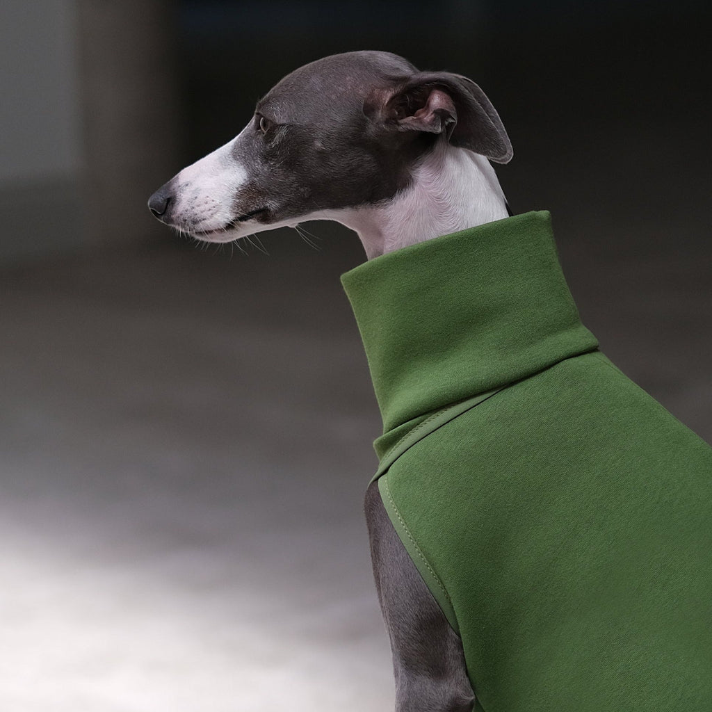 Olive Whippet Jumper - Wren - Occam