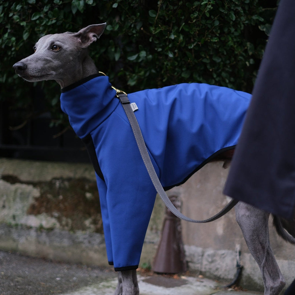 Waterproof Whippet coat - Cobalt - Occam