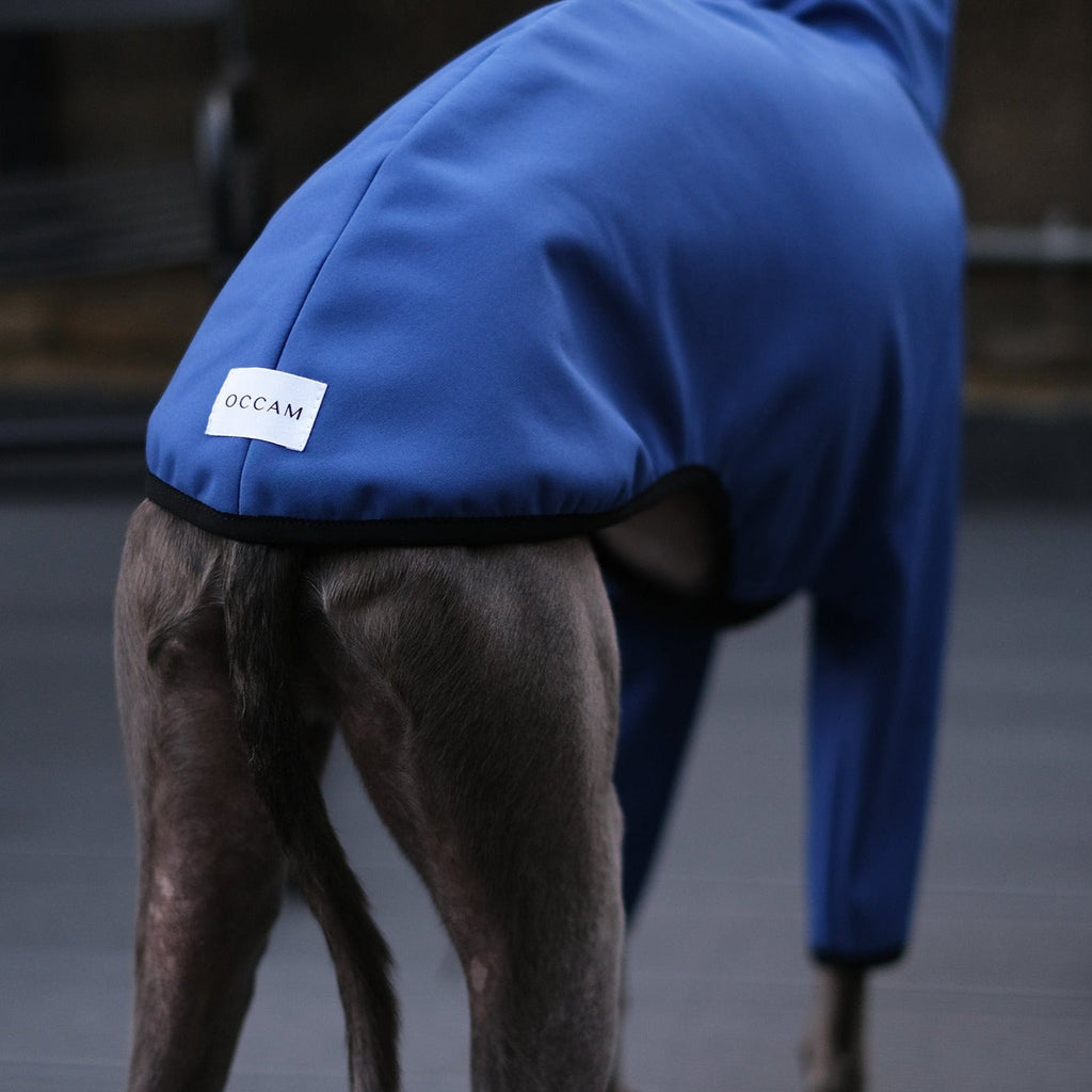 Waterproof Whippet coat - Cobalt - Occam