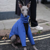 Waterproof Whippet coat - Cobalt - Occam