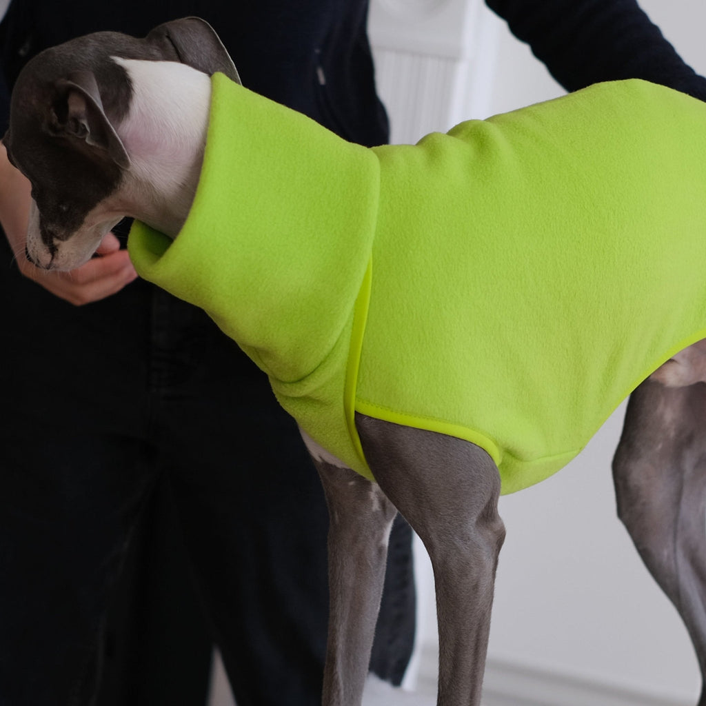 Whippet Fleece - Fluro Kermit - Occam