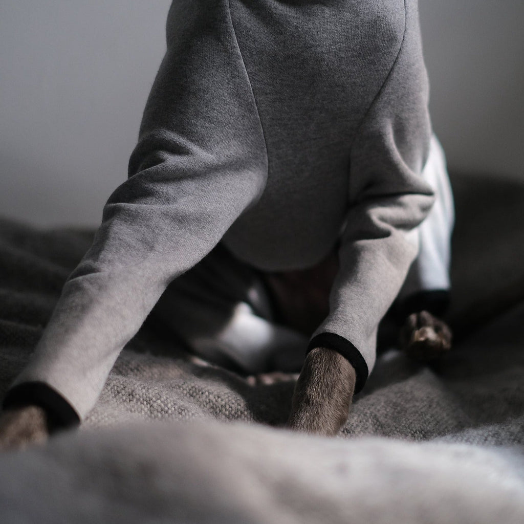 Whippet Onesie - Cecil - Occam