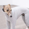 Whippet Onesie - Cecil - Occam