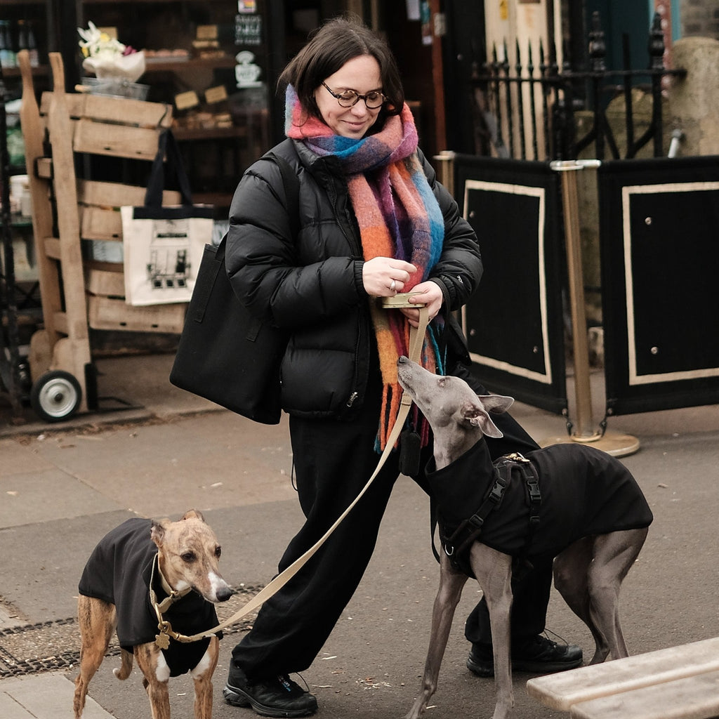 Whippet Waterproof Coat - Kipper - Occam